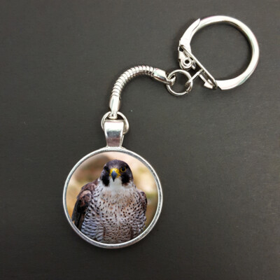 Peregrine Falcon Bird Pendant On Snake Keyring Ideal Birthday Gift N274  UK