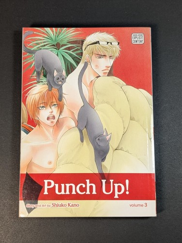 Manga - Punch Up! Volumen 3 - BL Yaoi - Shiuko Kano - Inglés 2013 - Sublime En muy buen estado - Imagen 4 de 8