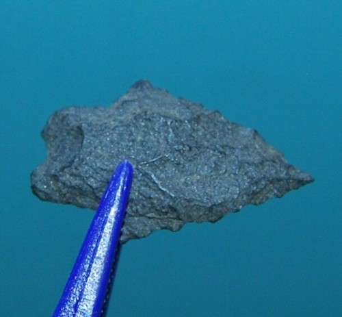 Lake Erie Point Eastern Illinois, county unknown - Picture 1 of 3