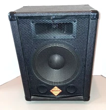 Nady Audio Pas-10 Full Range 2 Way Speaker Max Power 100 W Peak Tested