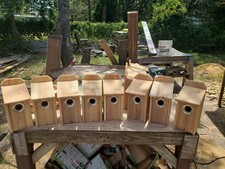 10 BLUEBIRD CEDAR BIRD HOUSE NEW HANDMADE 5/8 CEDAR with squirrel guard