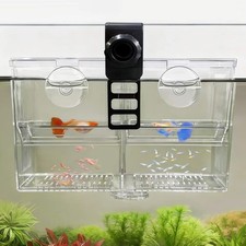 Dual-Chamber Aquarium Fish Breeder  Isolation Box, Transparent Hatching