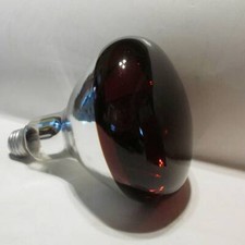 Sears Infrared Brooder Heat Lamp Bulb: 250 Watt