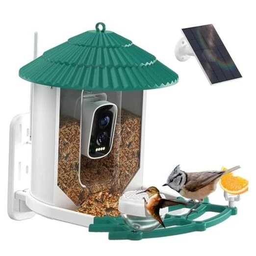 Bird Feeder with Camera,Ai Recognition 10000+ Species,3K Standard Light Green