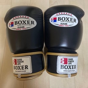 Isami Boxing Gloves | eBay