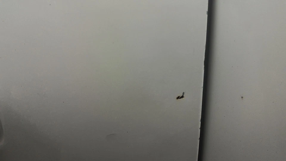 14 DODGE PICKUP 1500 Front Door Drivers Side (No Shipping) Foto 4 de 4