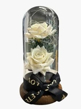 Preserved Rose Gifts for Women Forever Real Rose in Glass Dome Romantice Rose...
