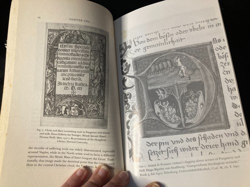 LIBROS: HAMLET IN PURGATORY STEPHEN GREENBLATT PRINCETON CLASSICS 2013 - Imagen 5 de 5