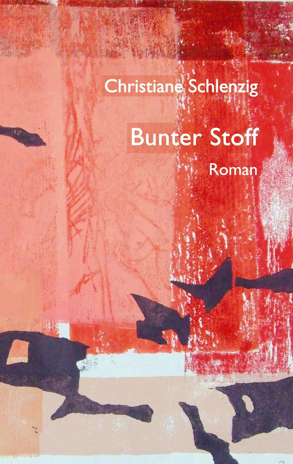 Christiane Schlenzig / Bunter Stoff9783754327814