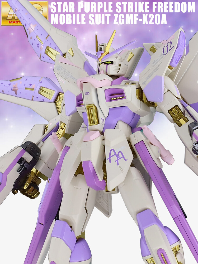 NEW Gundam seed Strike freedom 2.0 Star purple custom Bandai MG 1