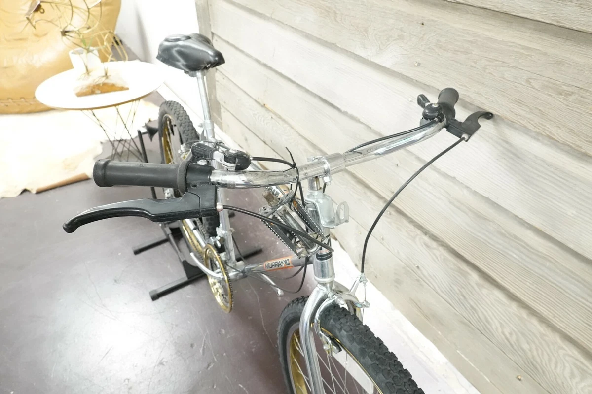 Murray mountain 2025 bike price