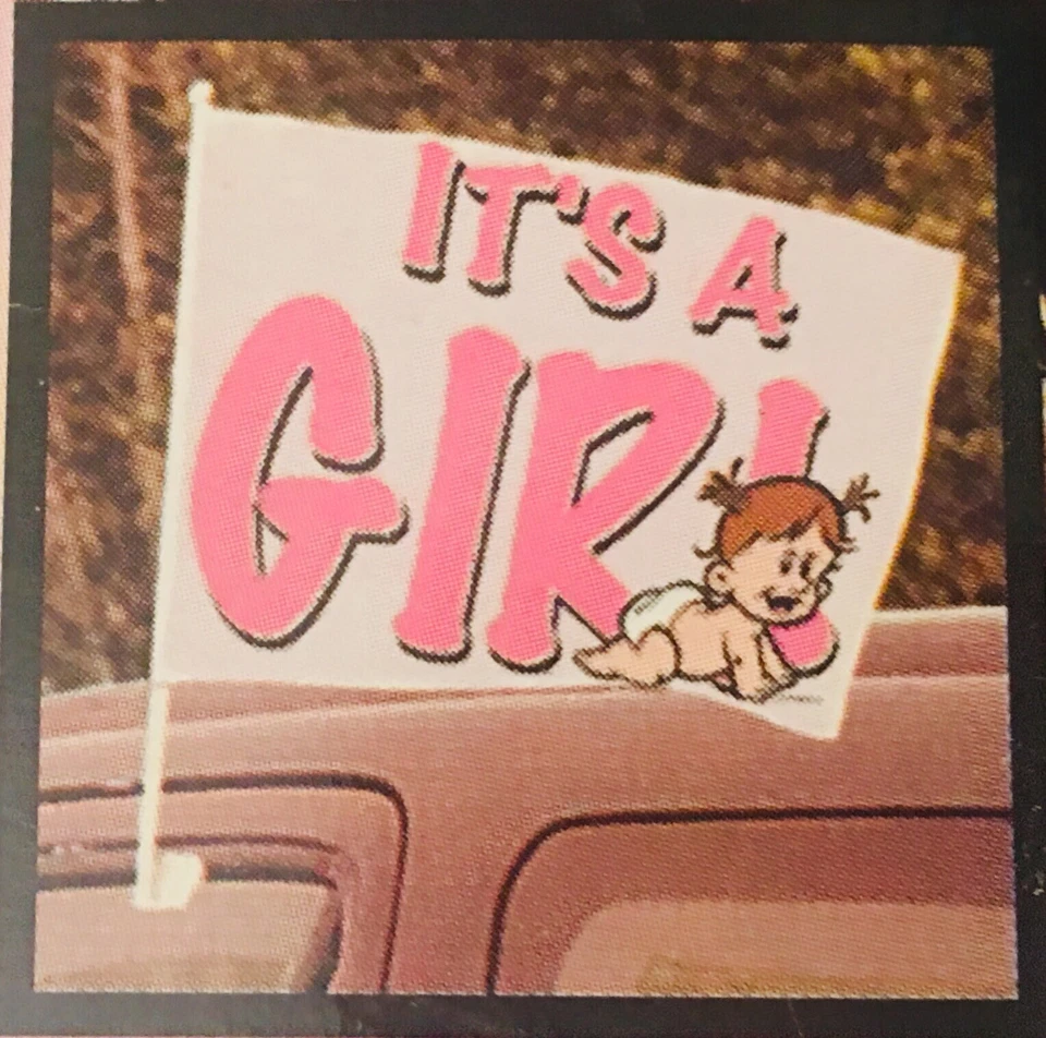 It's A Girl 2 Caras Coche Vehículo Bandera Montaje Ventana Clip Género Fiesta Baby Shower Foto 2 de 4