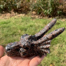 5." Natural yooperlite dragon skull carved Quartz crystal Carved Reiki gifts 1pc