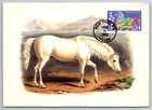 #3559 Chinese Lunar New Year Horse FDC Maxi Card