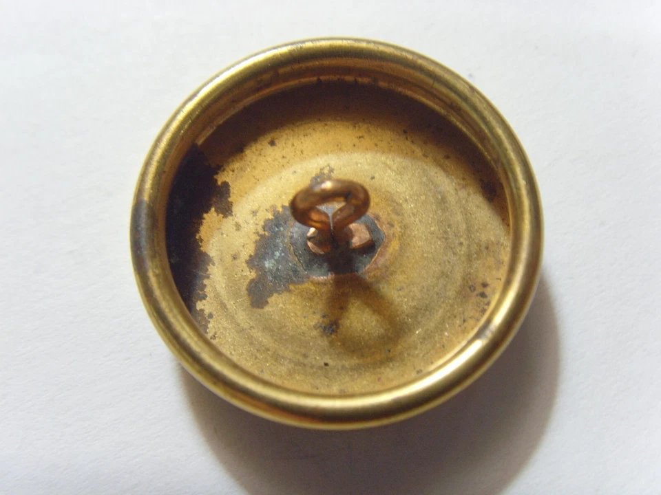 antique French Royal shield fleur de lis gold tone metal collector button 51907 - Image 4 of 4