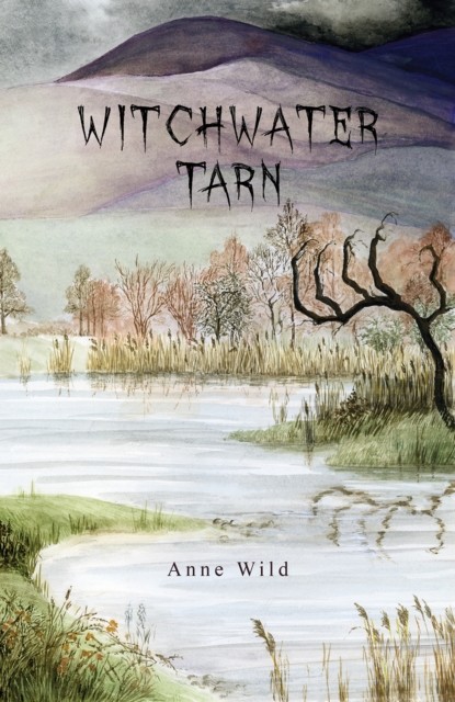 Witchwater Tarn by Anne Wild (Paperback Book)