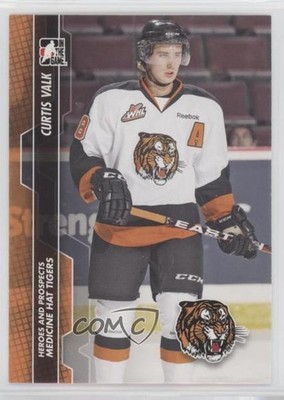 2013-14 ITG Heroes and Prospects Curtis Valk #45 0w8
