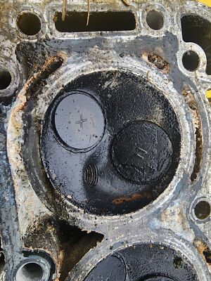 Nissan Tohatsu 25-30 HP 4 Stroke Cylinder Head 3R0B010010 w Valves