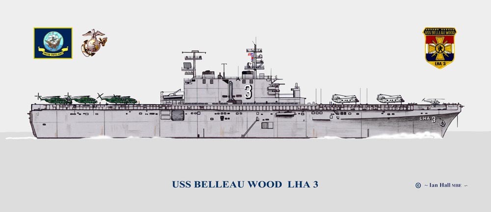 ジッポーUSS BELLEAU WOOD LHA−3 Amazon.com: USS Belleau Wood LHA-3 Framed Navy Ship Photo