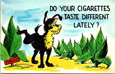 Postcard Animal Humor Dog Peeing Tobacco Leaves Cigarettes Taste Different B182