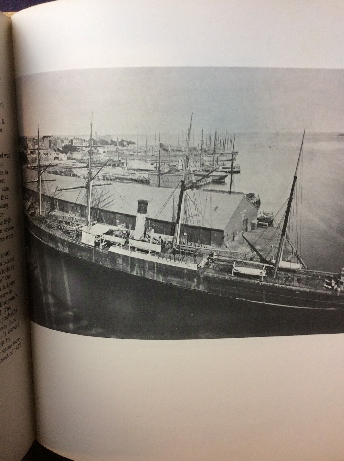 Picture 8 of 12