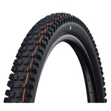 Schwalbe Albert Mountain Tire 29in 2.50 Black Tubeless Ready