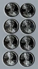 Lot of EIGHT (8)  Beautiful 1/10 Troy Ounce .999 fine Eagle Rounds
