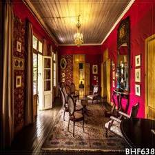 Indoor 10'x10' Computer/digital Vinyl Scenic Photo Background Backdrop BHF638