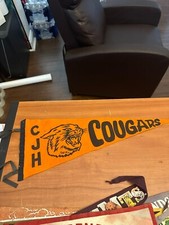 Rare VINTAGE Pennant felt Carmel Junior High Cougars Charlotte NC 22.5
