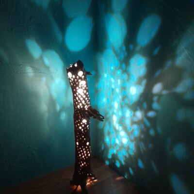 Unique Cholla Cactus Lamp LED Nightlight Ambient Soft Warm Light Home  Decoration | eBay