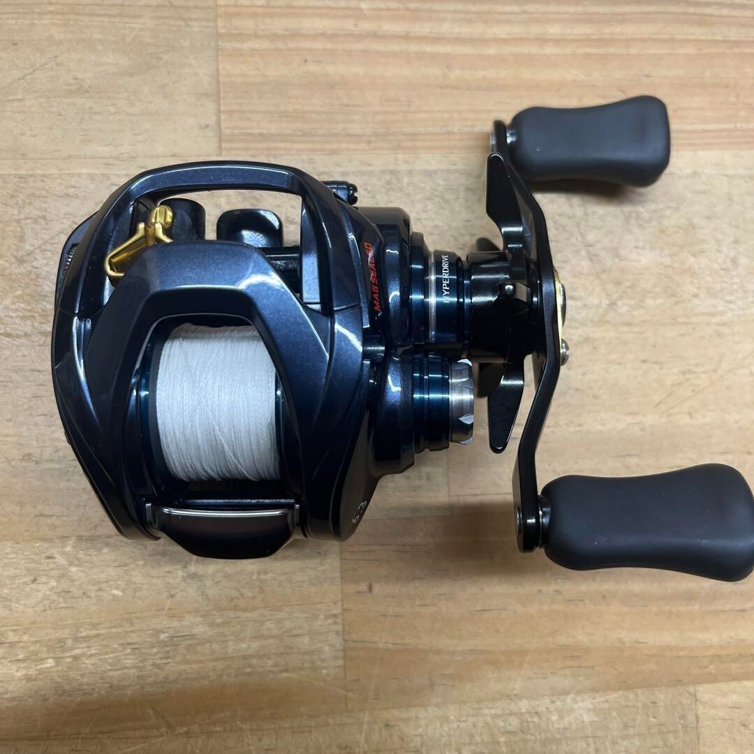 Daiwa 21 Steez A TW HLC 6.3R Baitcast Fishing Reel RH Jp | eBay