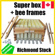 Auto Shed Beehives Super Box Bee House Honey House + 7 x Beekeeping Frames