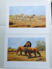 Russ Johnson "Cheetas" and "Lions" (2 Print Set Of African Cats)  S# Edition NIF