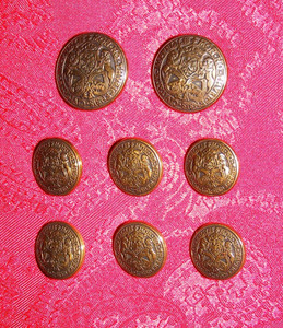 VINTAGE CROWNED LION SHEILD ANTIQUE BRASS SHANK BLAZER REPLACEMENT BUTTON SET