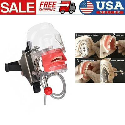 USA Dental Simulator Phantom Head Model With Teeth For Dentist Teaching Practice
