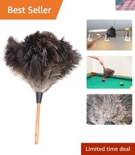 14-Inch Genuine Ostrich Feather Duster - Luxurious Eco-Friendly Cleaning