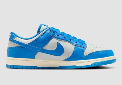 Nike Dunk Low Detroit Lions HF5441-002 Men