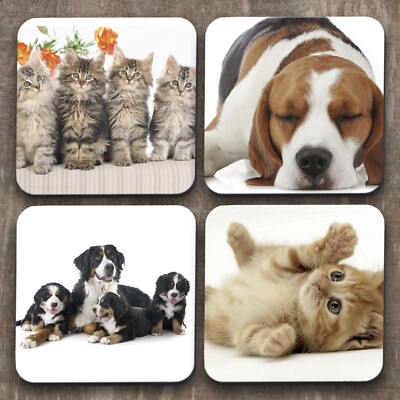 Katzen vs Hunde - Personalisierte Hochwertige Untersetzer 4er Set - C0025