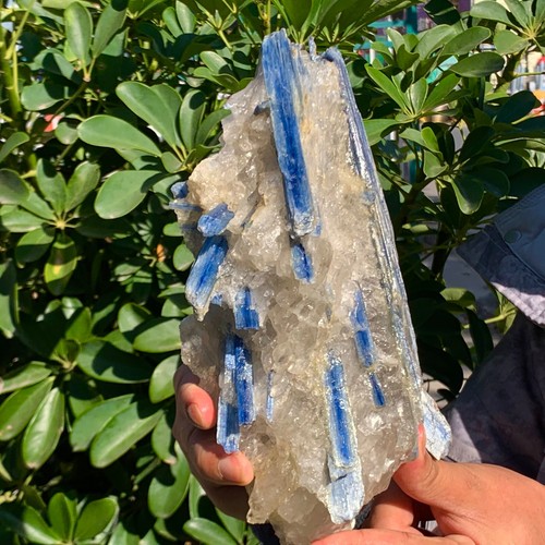4.19LB Rare!! Natural beautiful Blue KYANITE with Quartz Crystal Specimen Rough