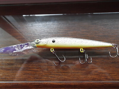 Custom Painted Rapala Suspending Down Deep Husky Jerk,DHJ-12, Splatter Shad