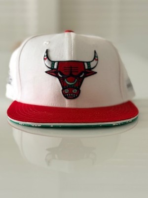$34.99 Chicago Bulls Abel Arciniega Artist Series Snapback Hat NBA Cap