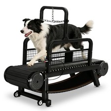 BowWowTread Dog Treadmill for Large Dogs, Dog Treadmill for Medium Dogs