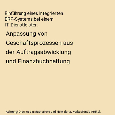 Einführung eines integrierten ERP-Systems bei einem IT-Dienstleister: Anpassung