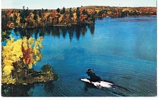 Canada Postcard Mr Moose Memo To Motorists