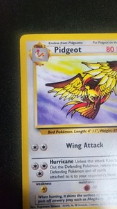 Pidgeot - 24/64 - Pokemon Jungle Unlimited Rare Card WOTC NM
