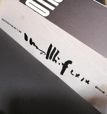 Rare Limited To 2000 Copies Erotico Iwami Furusawa Nude Drawing  