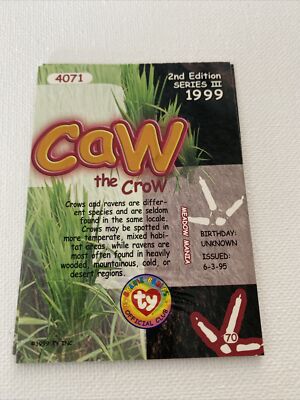 Ty beanie babie card CAW 2nd edition | eBay