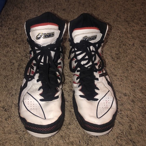 dan gable ultimate 3