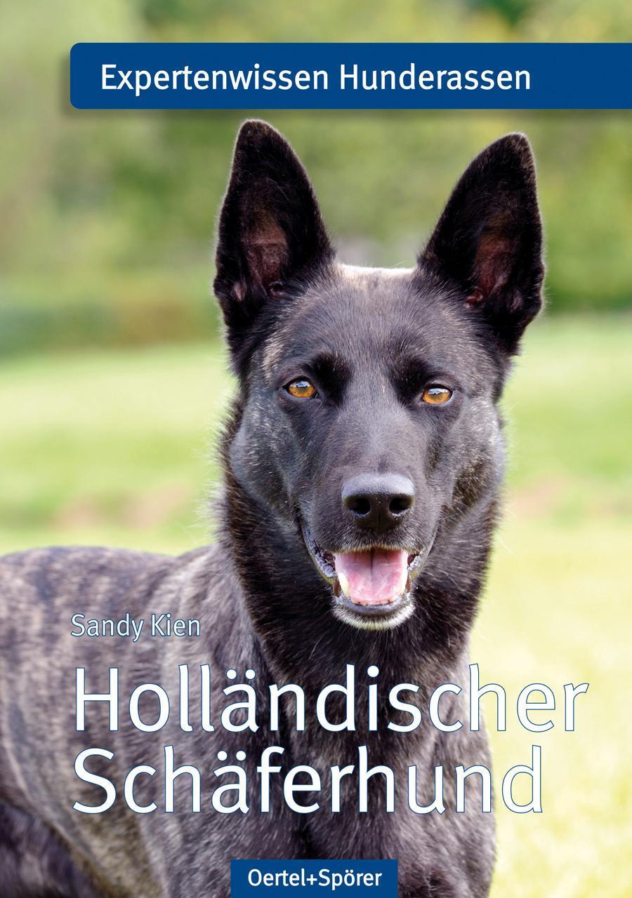Thumbnail - Holländischer Schäferhund Sandy Kien