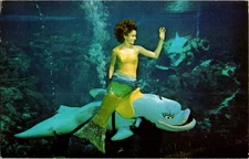 Spring Hill Florida FL : RISQUE - WEEKI WACHEE TOURIST ATTRACTION n/24 BI1428